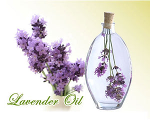 Lavender Essential Oil